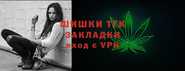 мескалин Ельня