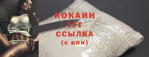 СК Туринск