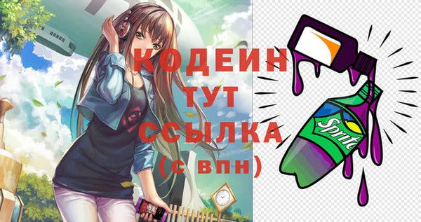 соль ск Елабуга