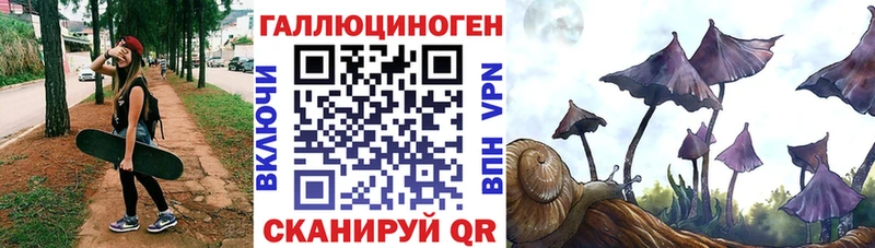 где продают наркотики Жиздра mega Псилоцибиновые грибы мухоморы